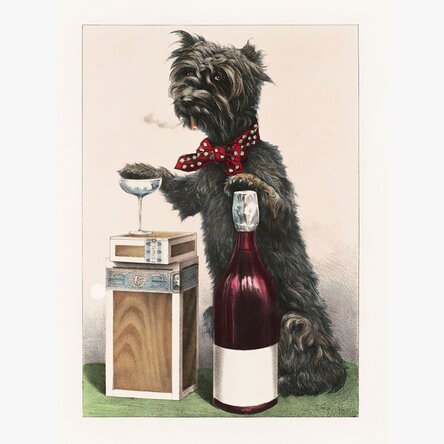 Happy Catel Poster
