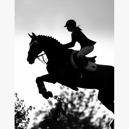 Jockey Poster