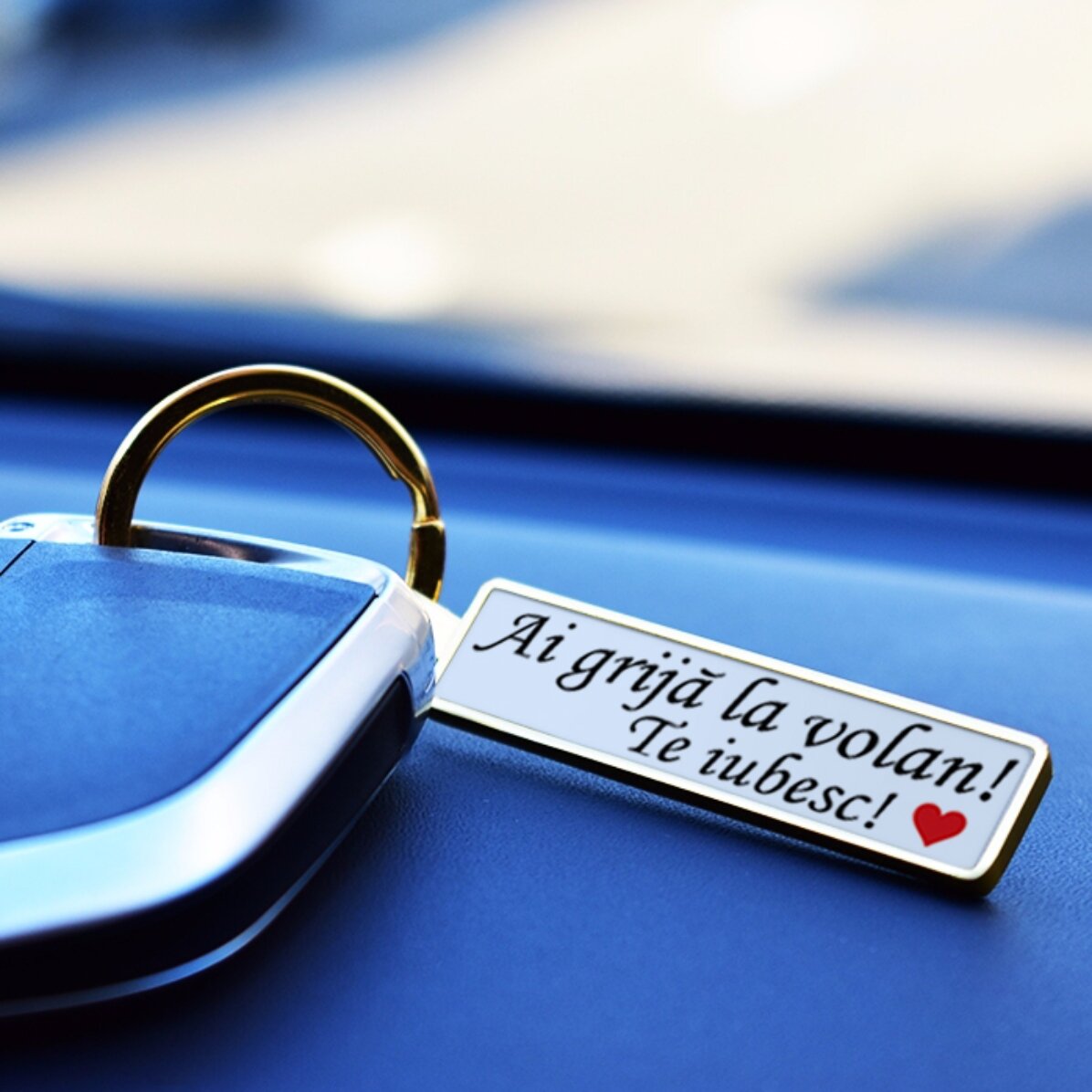 Sleutelhanger: replica van een kentekenplaat met gepersonaliseerd nummer en tekst