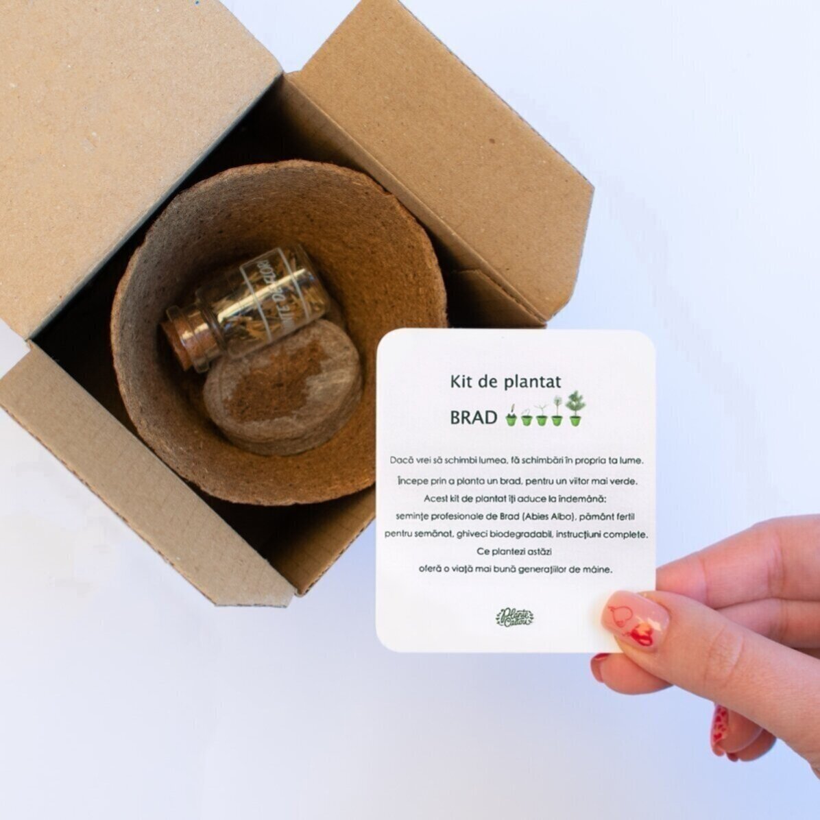 Fir seed planting kit in a personalised box with a photo and text - Snowflakes