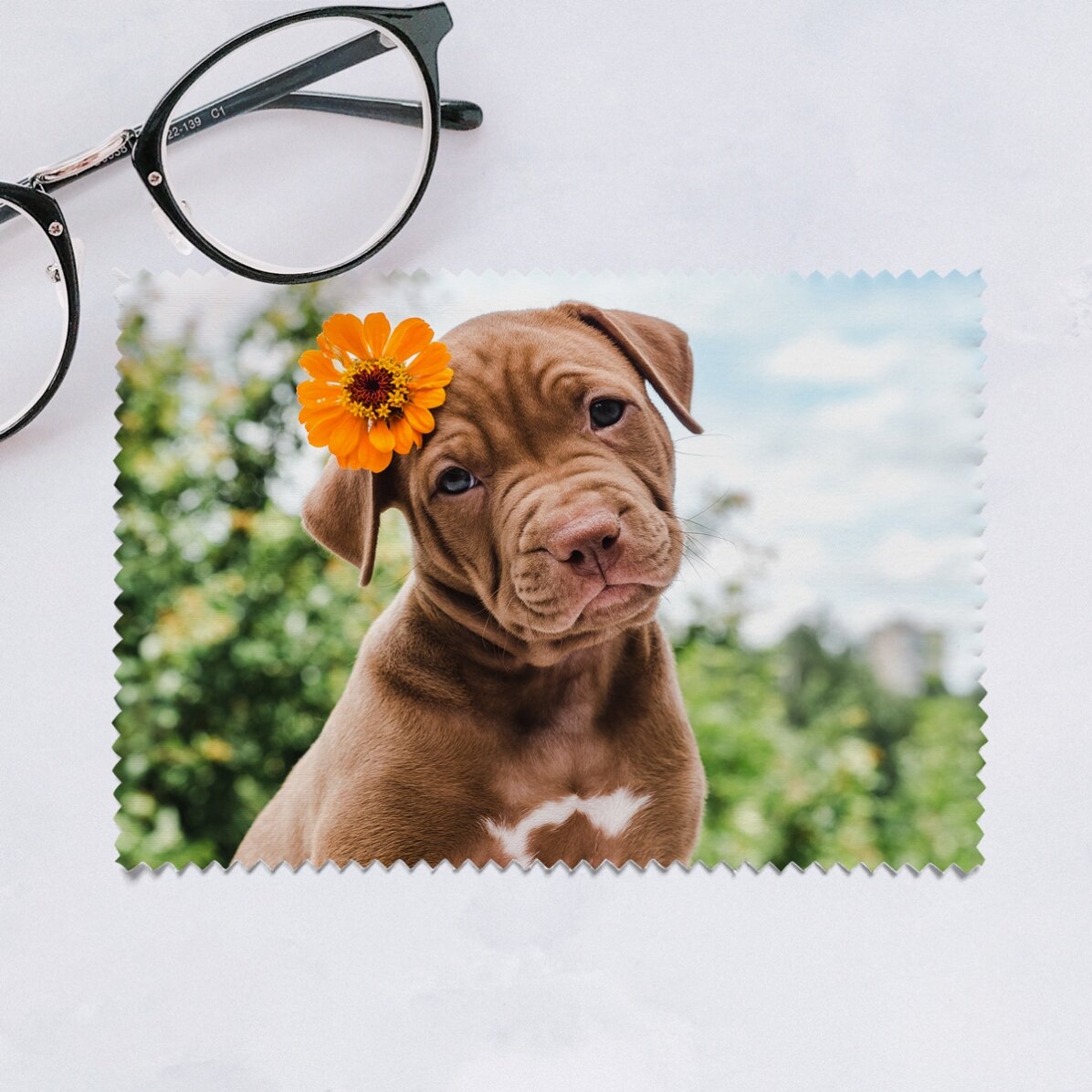 Personalised cloth with a photo for cleaning screens/glasses