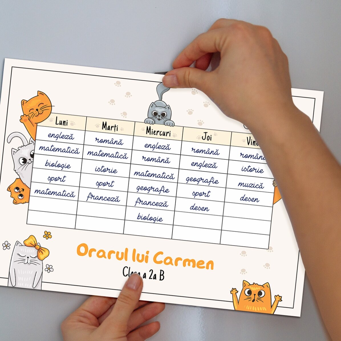 Personalised timetable with text - Kittens