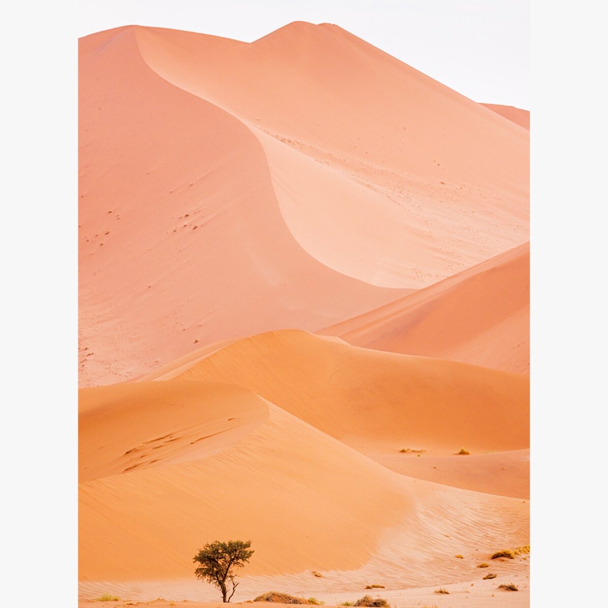 Poster Dunes