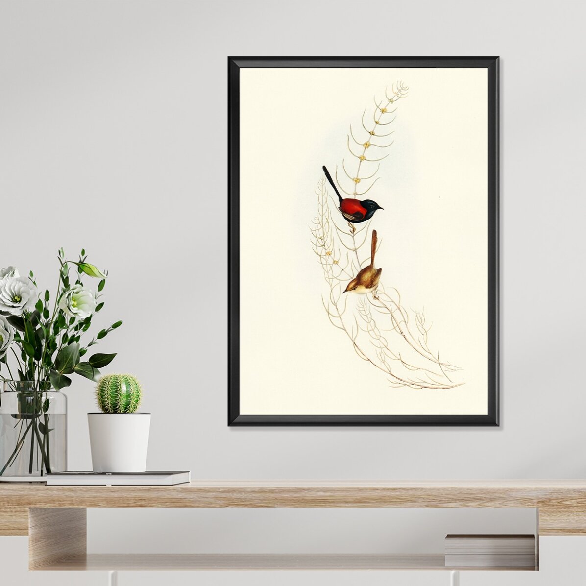 Poster: Kleurrijke vogels op een tak