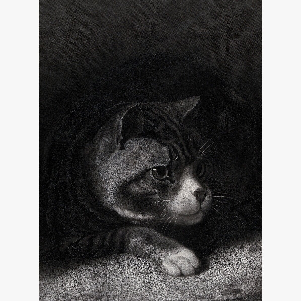 Poster van William Gil, De waakzame kat die door de schaduwen tuurt, 1855