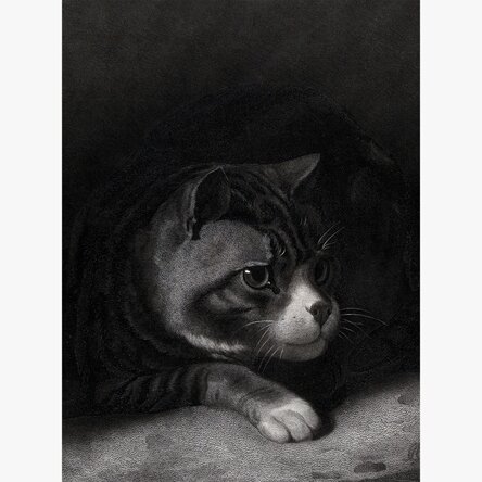 Poster William Gil, Vigilant Cat Watching Through Shadows 1855