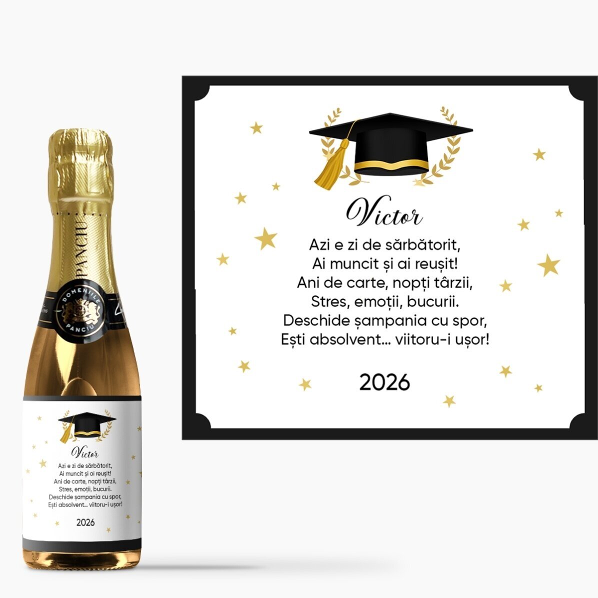 Cadeauset voor afgestudeerden - Het volwassen leven