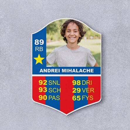 Gepersonaliseerde FIFA-kaart met een foto en statistieken - SB