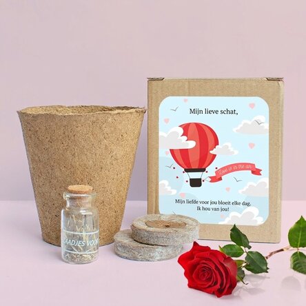 Set om lentebloemen te planten in een gepersonaliseerd bakje met een boodschap - Love is in the air