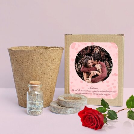 Set om lentebloemen te planten in een gepersonaliseerd bakje met een foto en een boodschap - Hartjes