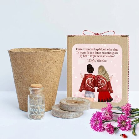 Set om lentebloemen te planten in een gepersonaliseerd doosje met een boodschap voor vriendinnen