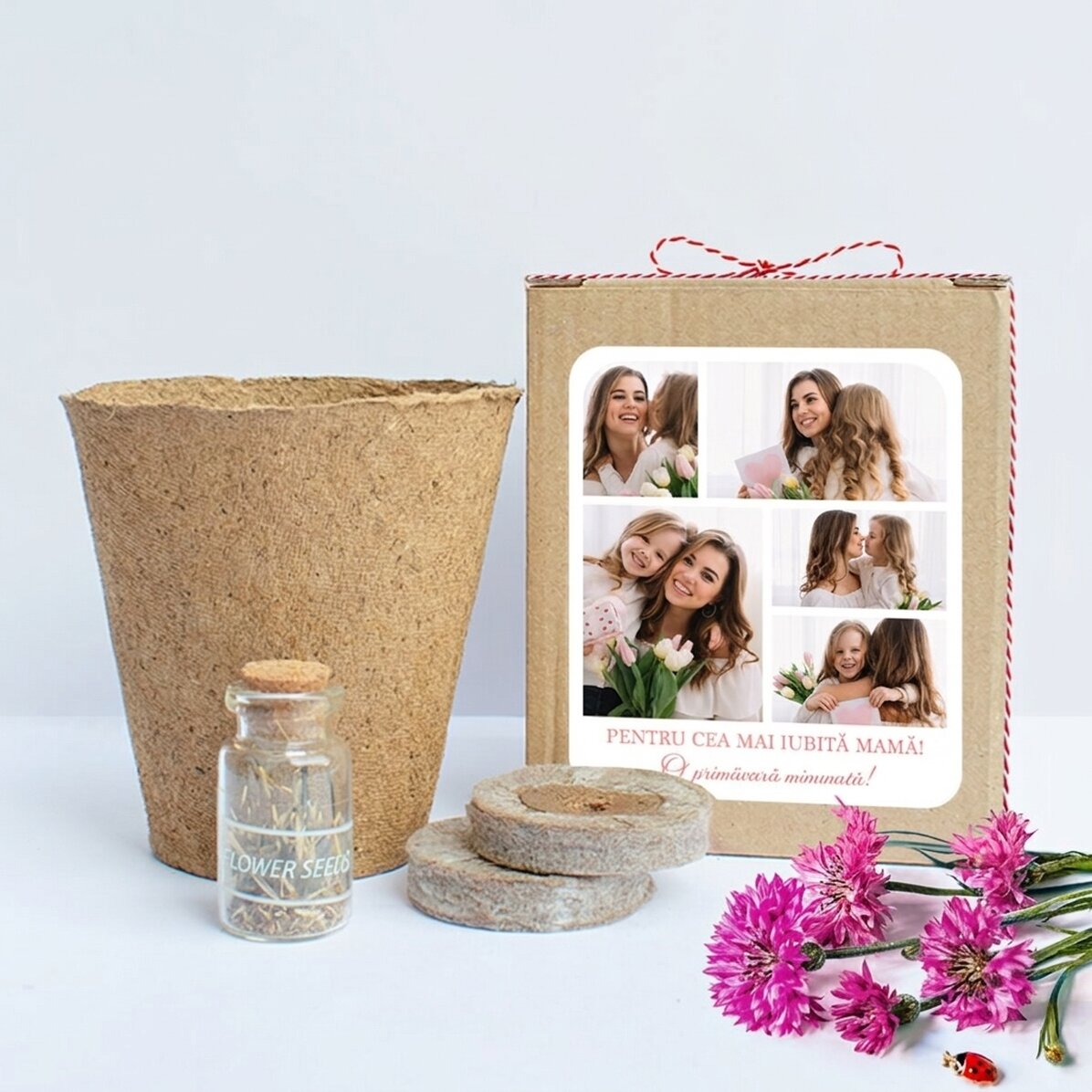 Set om lentebloemen te planten in een gepersonaliseerd doosje met een fotocollage en een boodschap