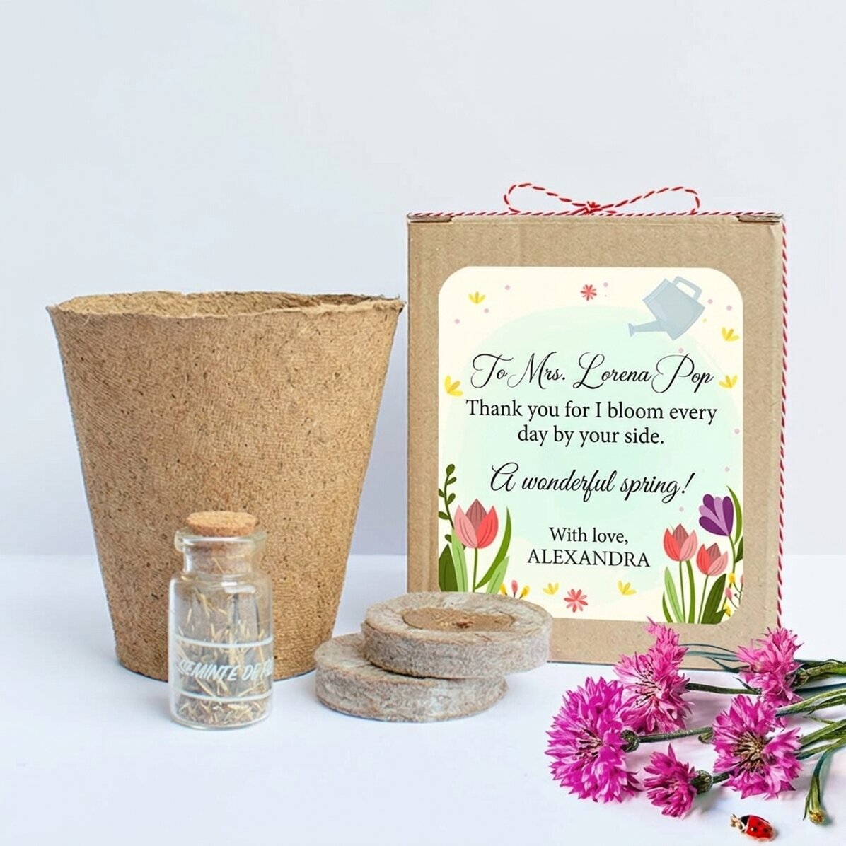Set om lentebloemen te planten in een gepersonaliseerd doosje met een boodschap voor de juf
