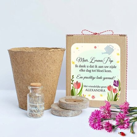 Set om lentebloemen te planten in een gepersonaliseerd doosje met een boodschap voor de juf