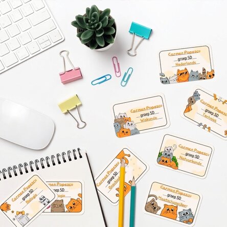 Set van 8 gepersonaliseerde stickers (zelfklevende etiketten) voor school met tekst - Kittens
