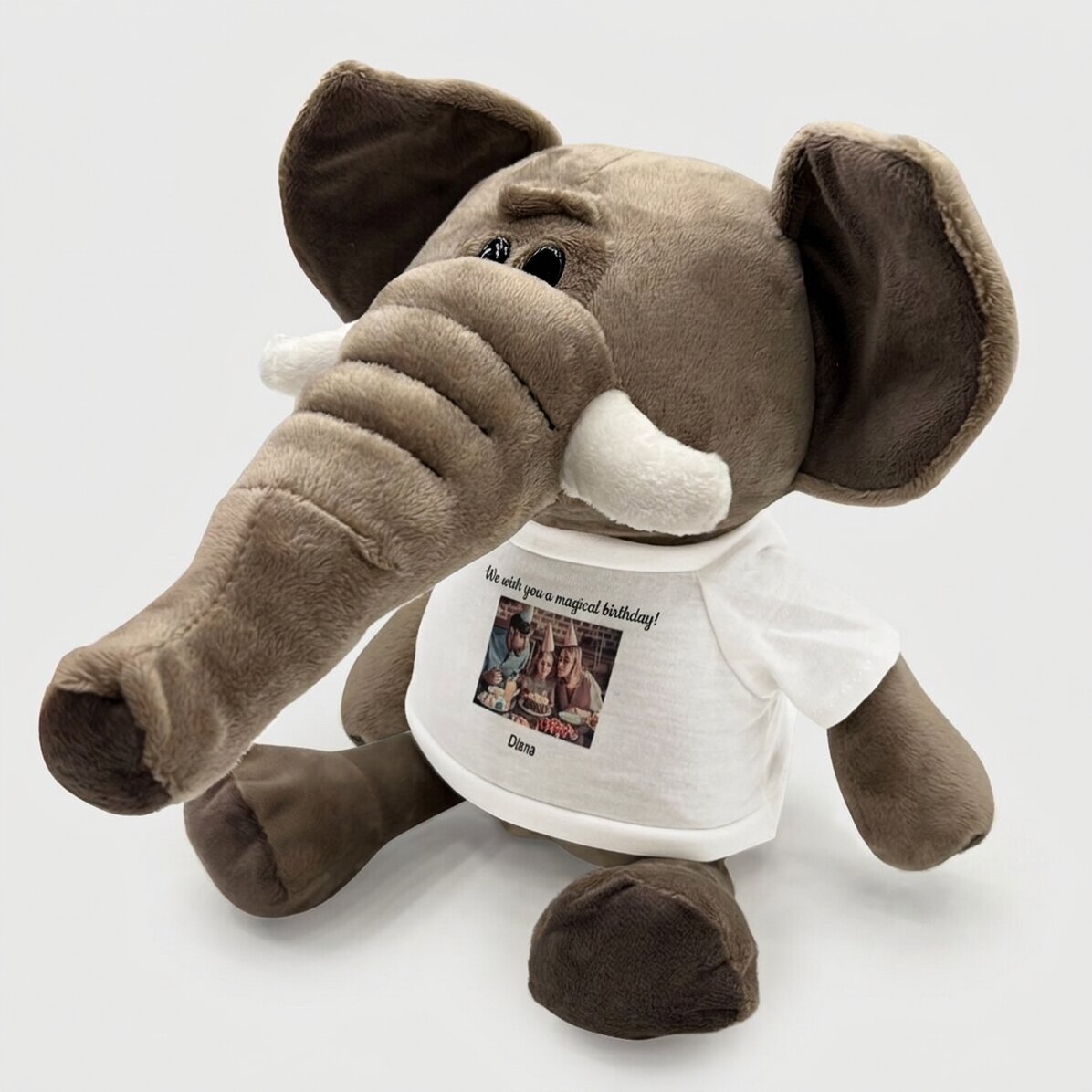 Plus: gepersonaliseerde olifant met foto en tekst
