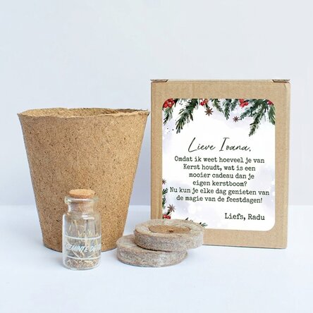 Set om dennenzaadjes te planten in een gepersonaliseerd doosje met een kerstboodschap