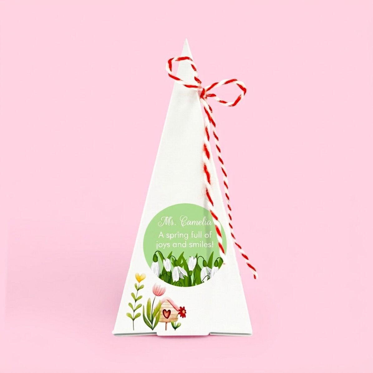Gepersonaliseerde bloemenplantset met tekst - Sneeuwklokjes