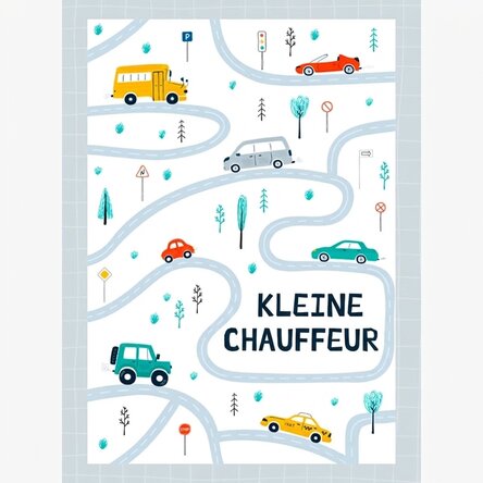 Poster Little Driver
