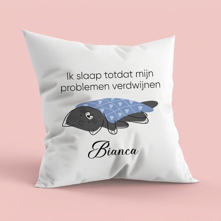 Gepersonaliseerd kussen met tekst - Problems