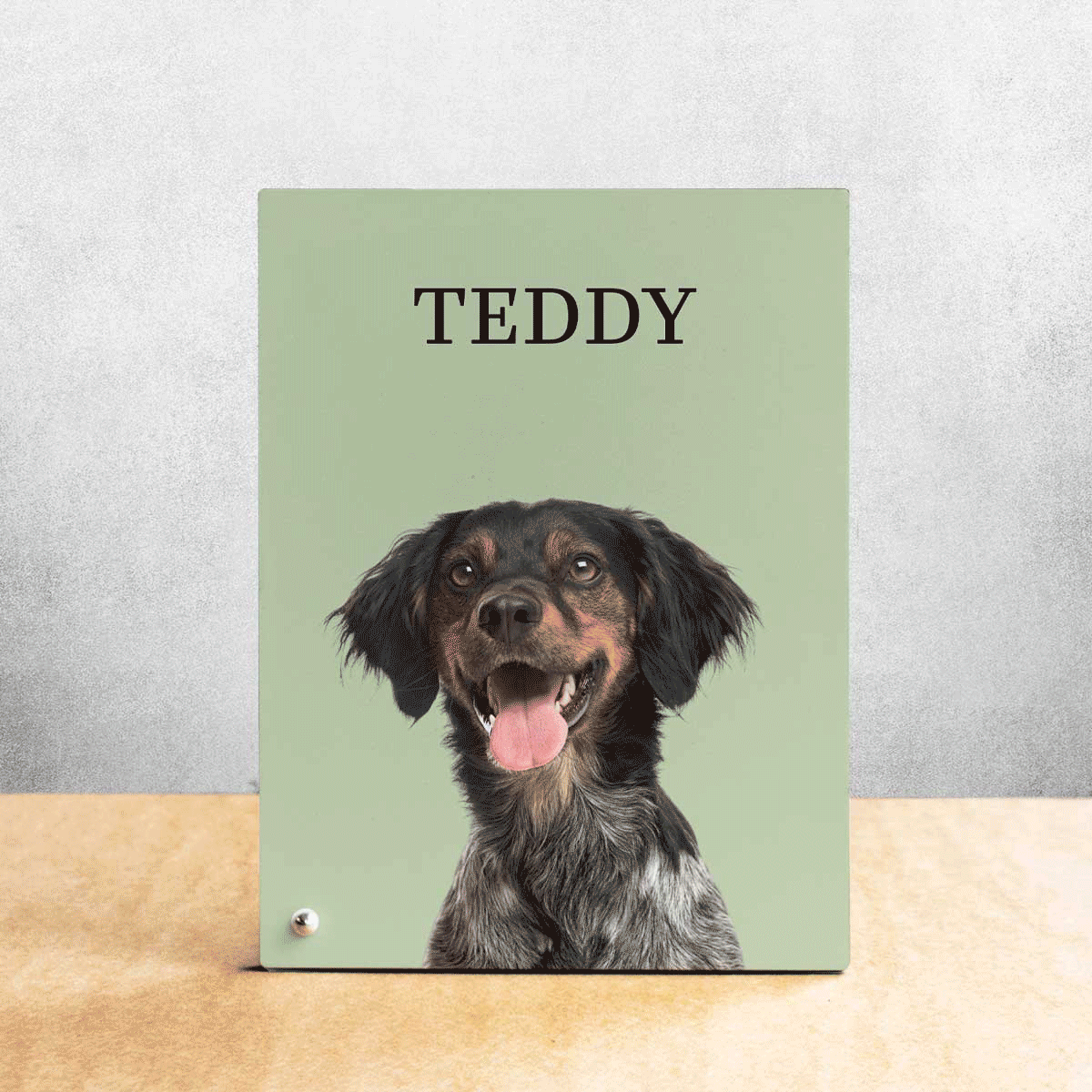 Gepersonaliseerde fotolijst voor op het bureau, met een foto en de naam van je huisdier
